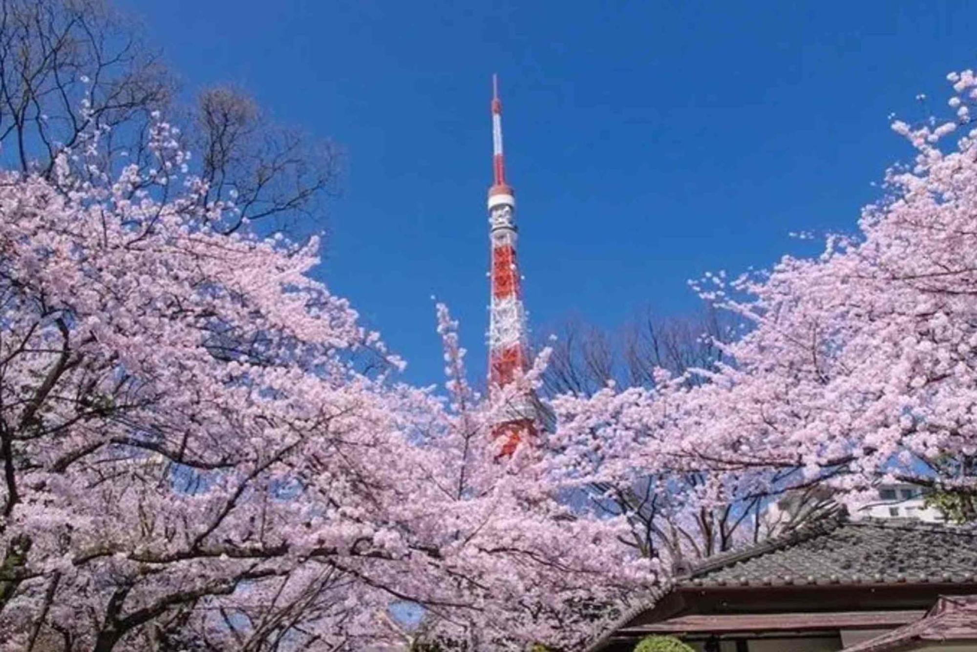 Five Room 120 Sky Tree Sensoji Freeparking 1292Sqft โตเกียว ภายนอก รูปภาพ